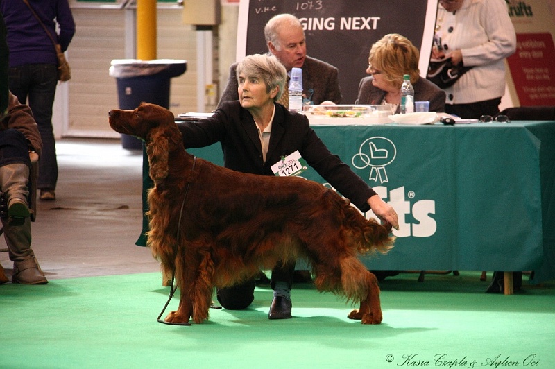 Crufts2011 387.jpg